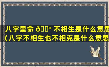 八字里命 💮 不相生是什么意思（八字不相生也不相克是什么意思）